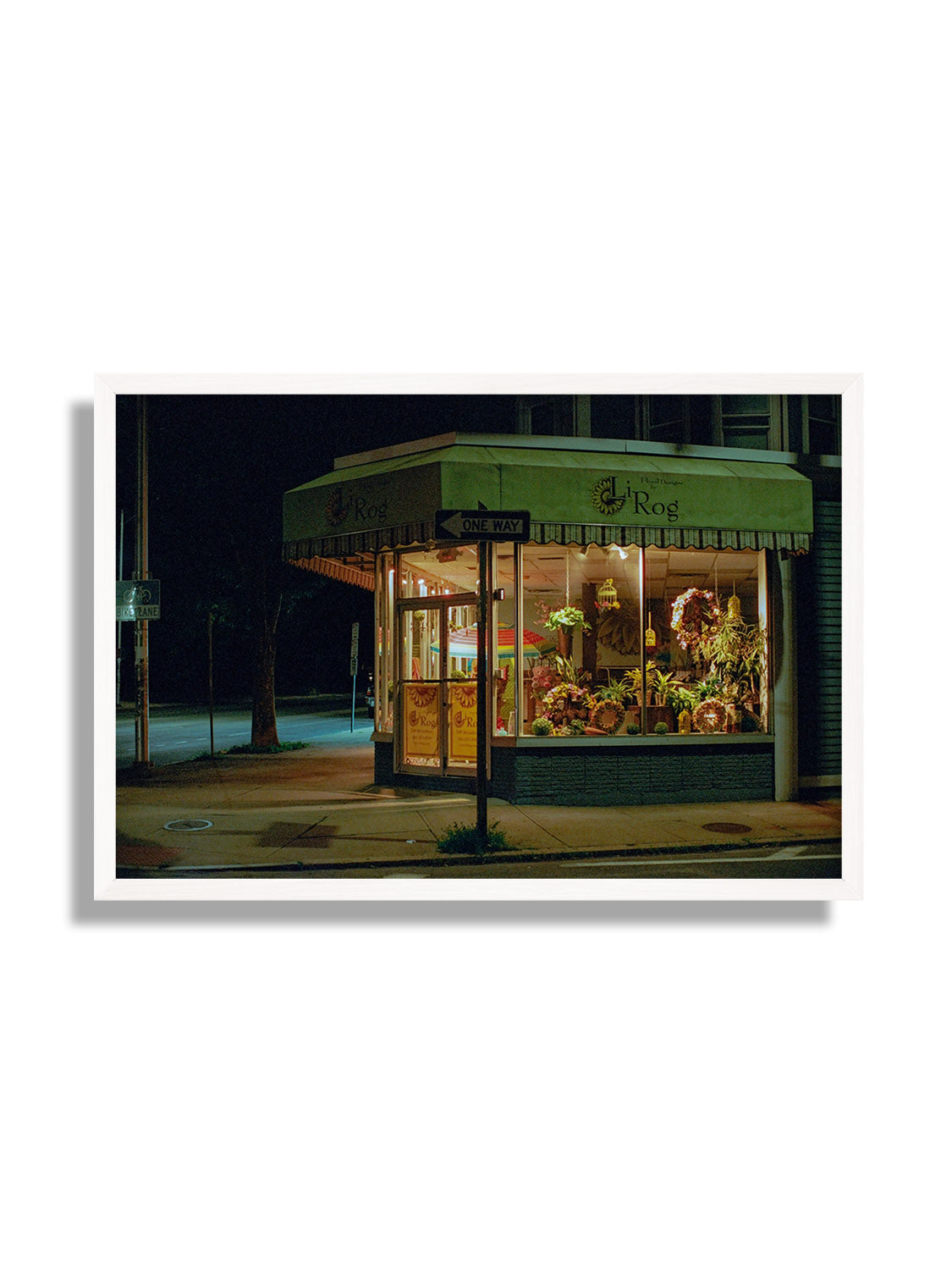 LiRog - Leland Foster