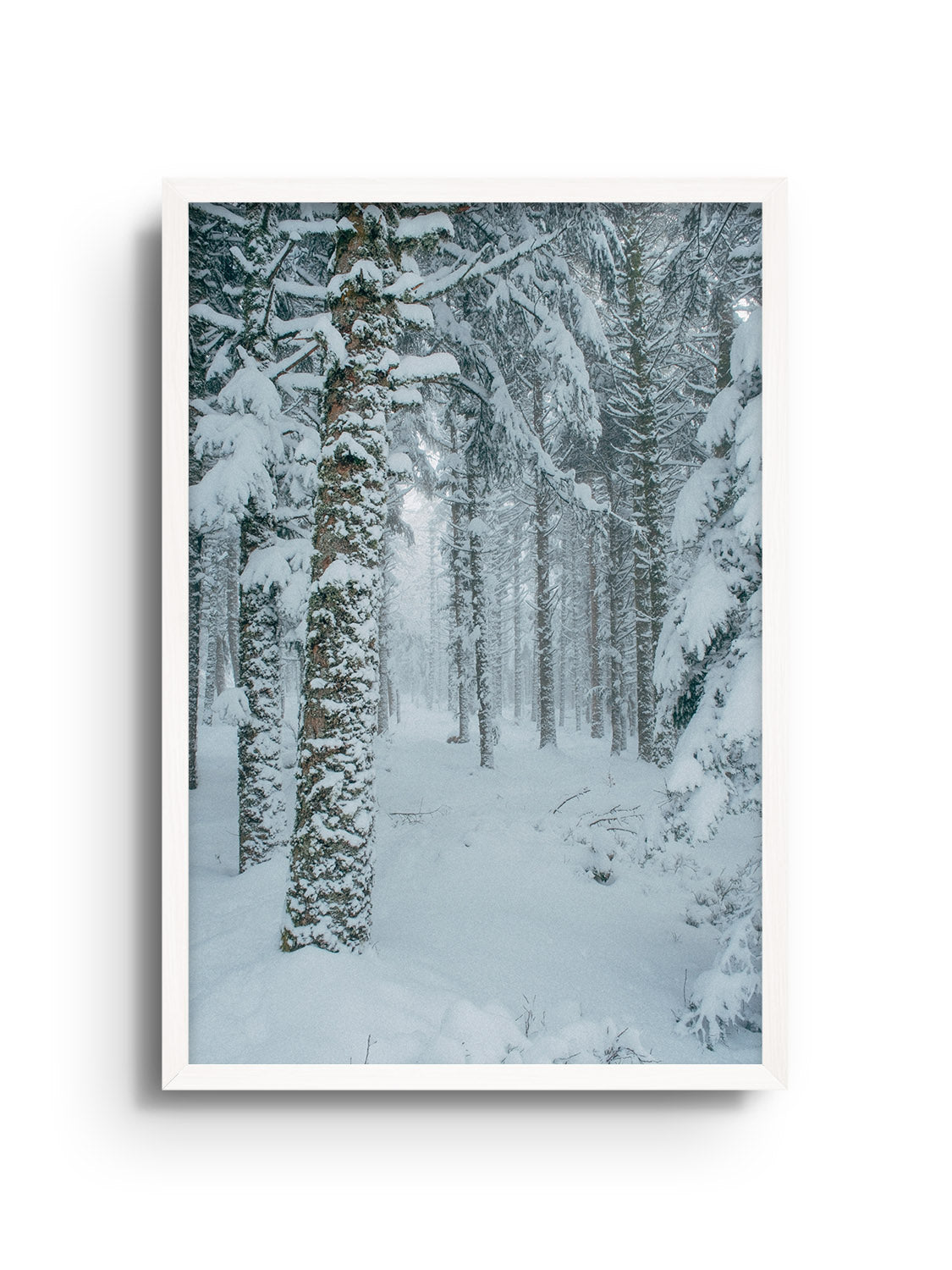 Snowdonia - Valentin Meaux