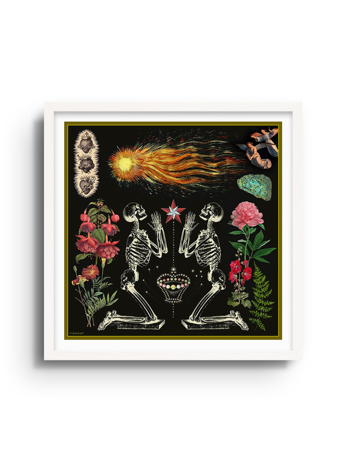 COMET - Louis Fishauf