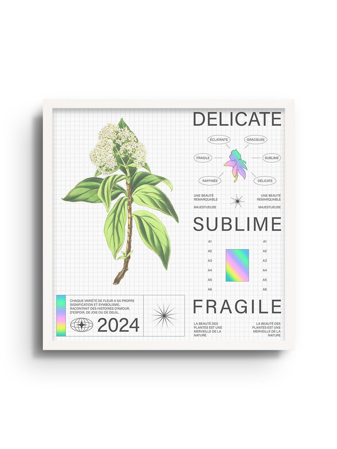 Delicate - Matéo Mace