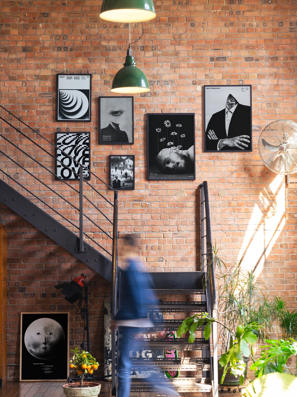 Grow Up - Meindl Taxer - A_GWBlack_080726 |type=gallerywall|