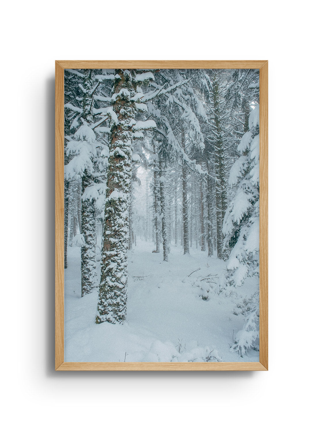 Snowdonia - Valentin Meaux