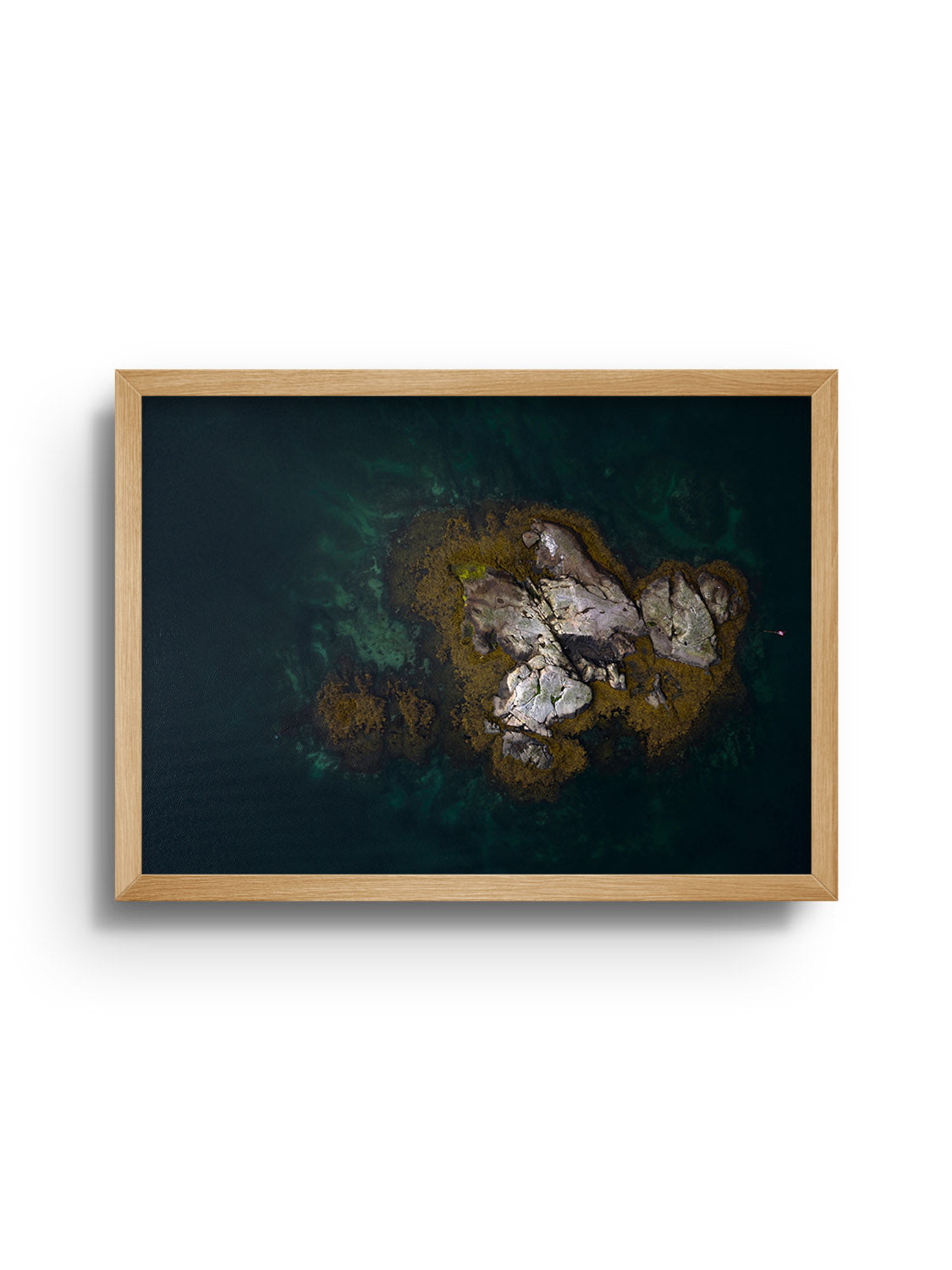 Reine II - Victoria Benjafield