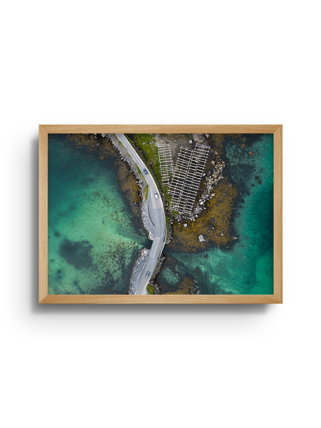 Reine V - Victoria Benjafield