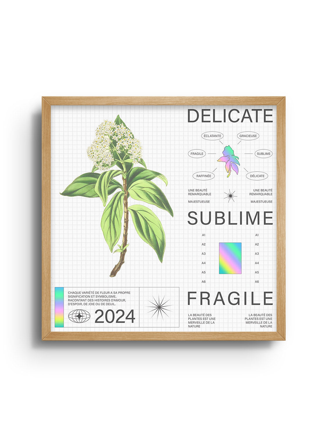 Delicate - Matéo Mace