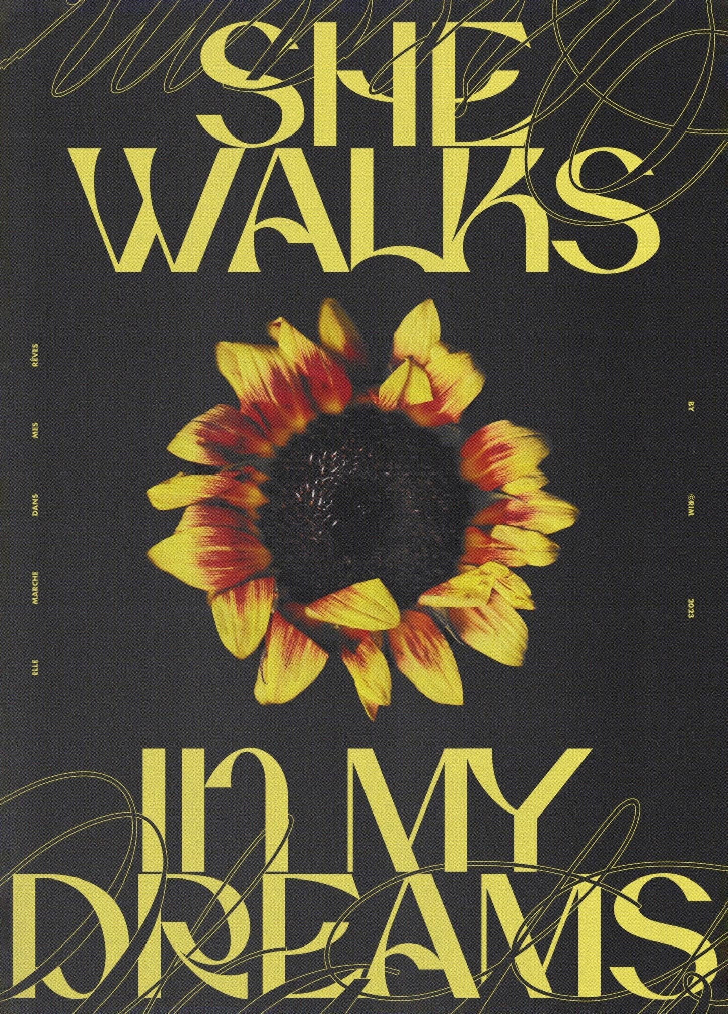 the cover of i am my dreams by she walks