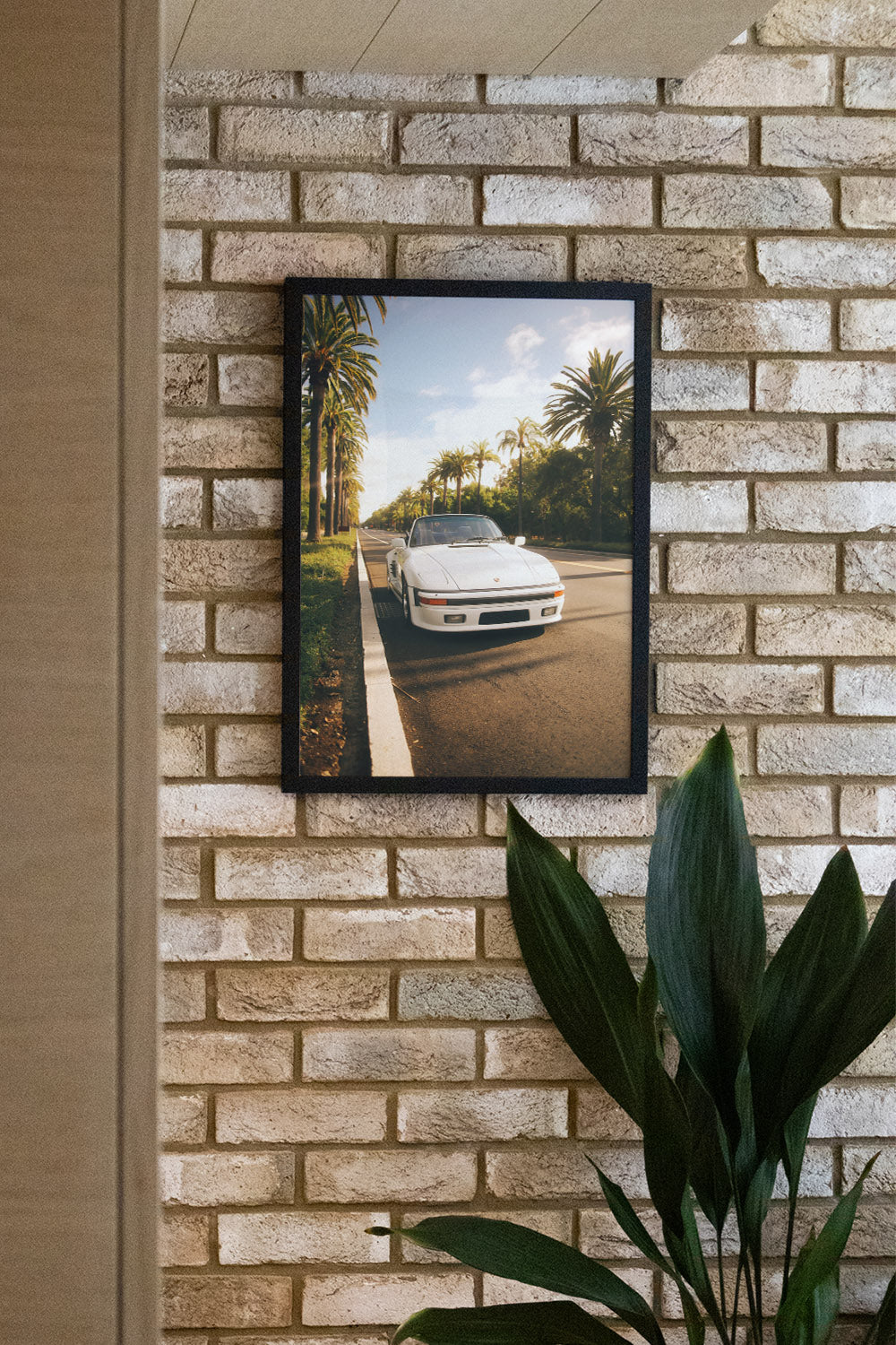 Palms & Porsche - Gelstang