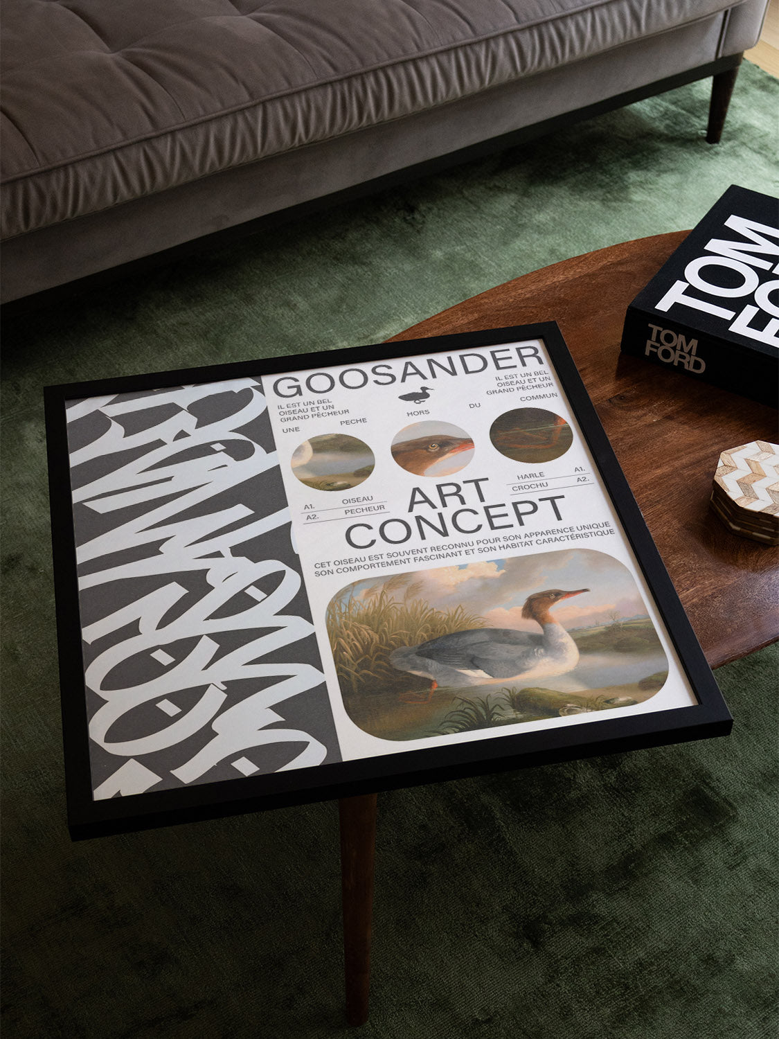 Goosander - Matéo Mace