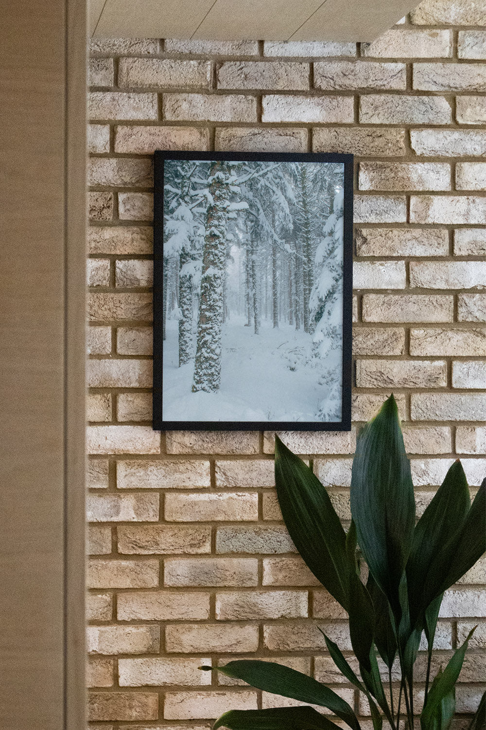 Snowdonia - Valentin Meaux