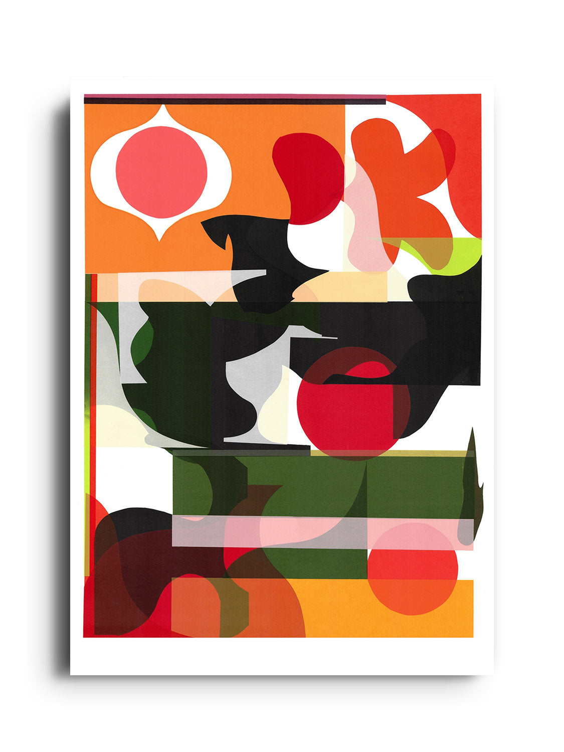 Paloma - Rikki Hewitt