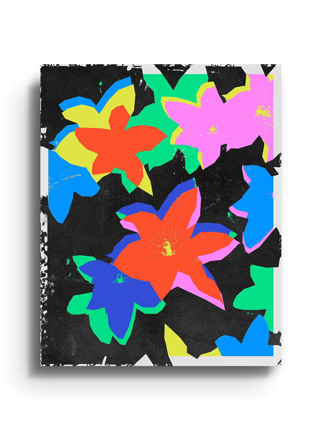 Big Flowers - Sian Roper