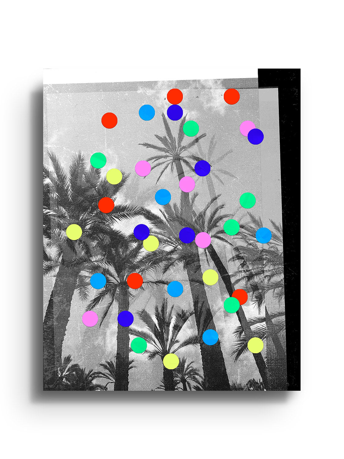 Confetti Palms - Sian Roper