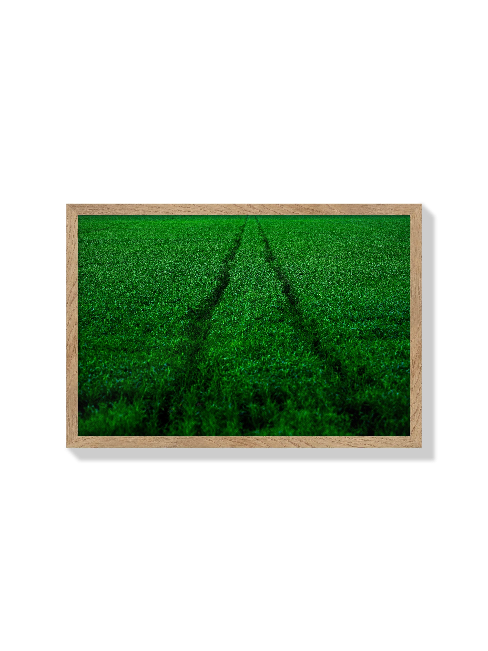 Track and Field - Tal Paz-Fridman - Natural Frame |frame=Natural Frame|