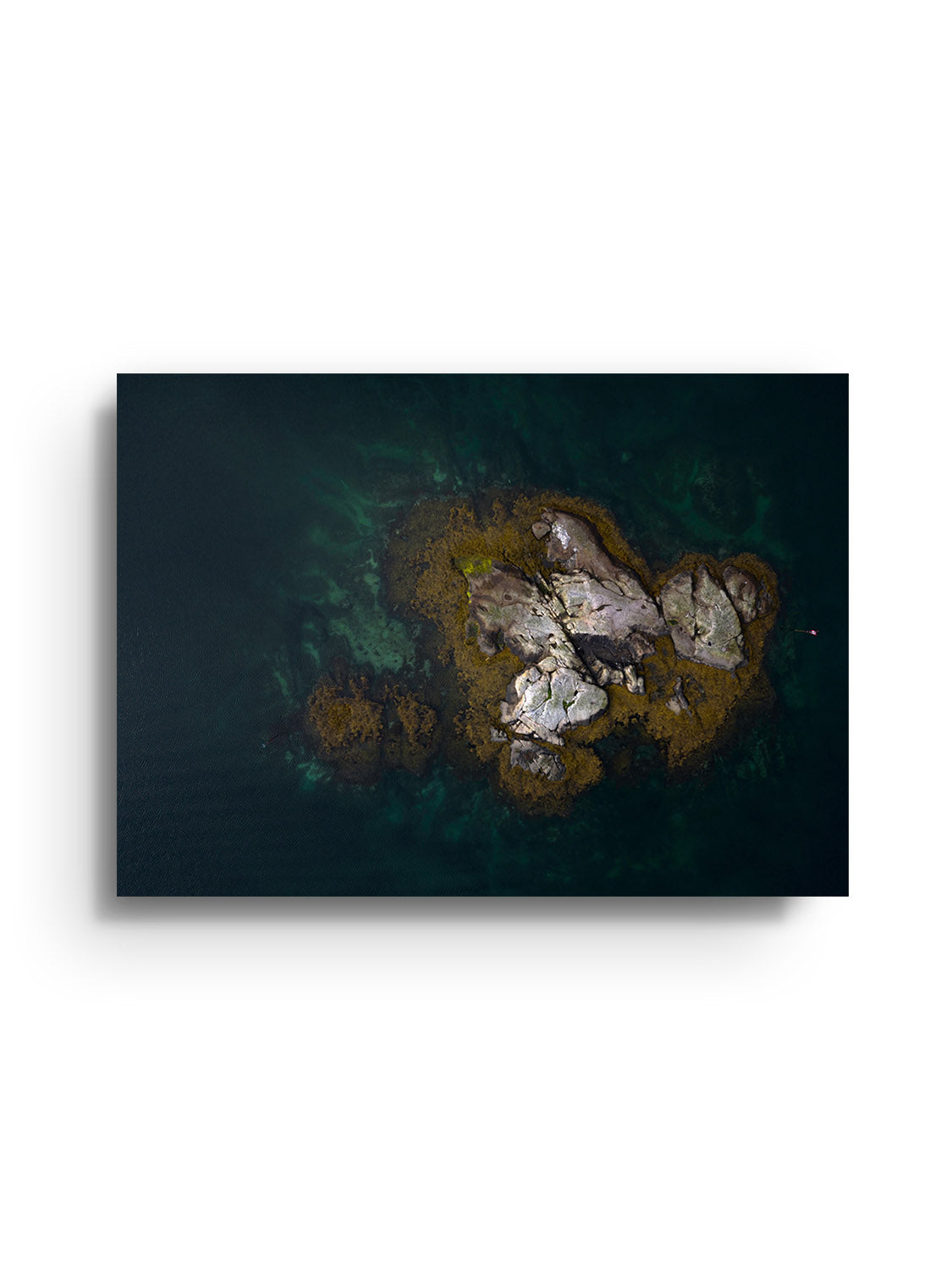 Reine II - Victoria Benjafield