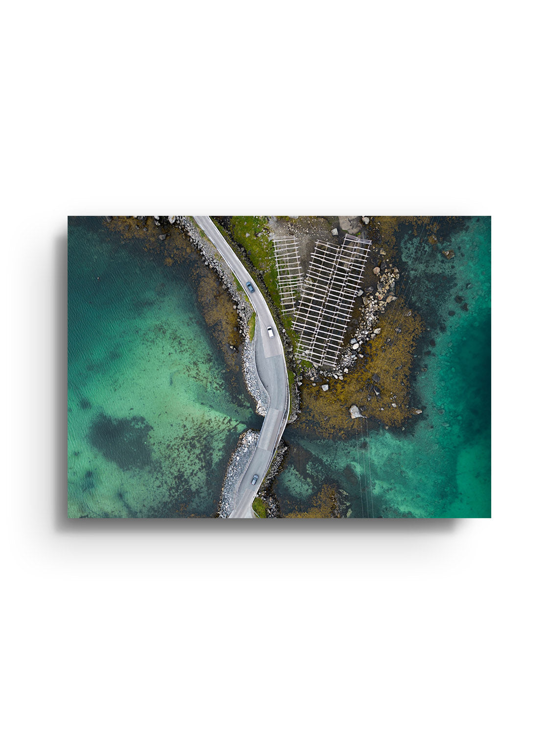 Reine V - Victoria Benjafield