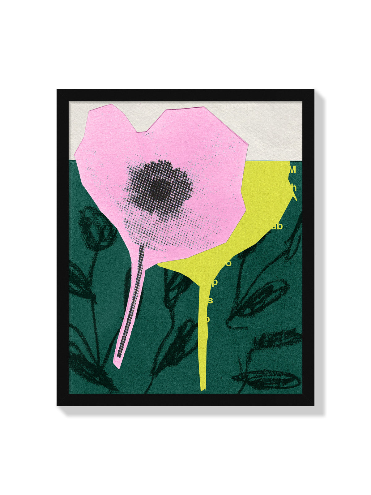 Anemone Flower - Sian Roper - Black Frame |frame=Black Frame|