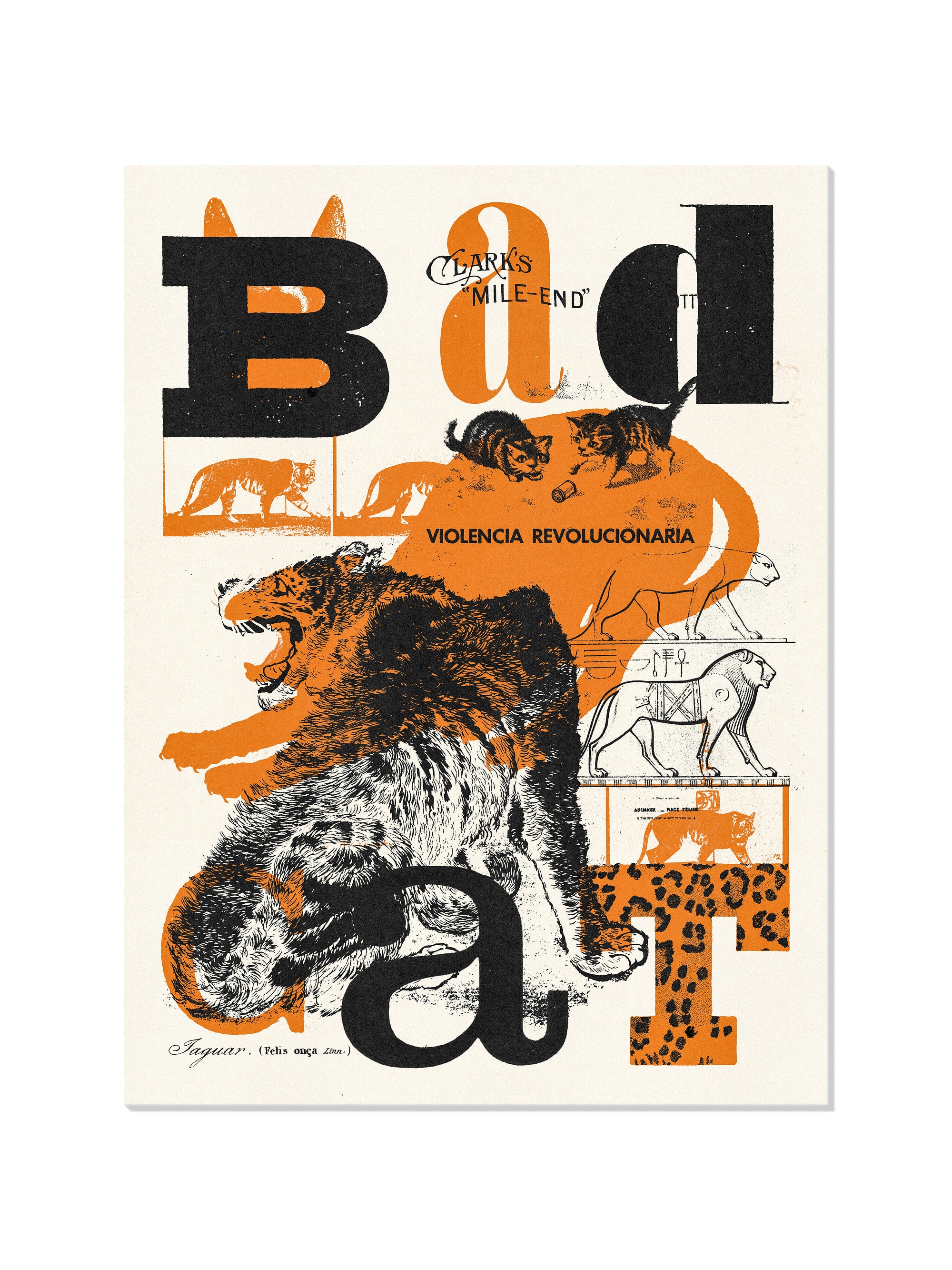 Bad Cat - Mateus Teixeira - Unframed |frame=Unframed|