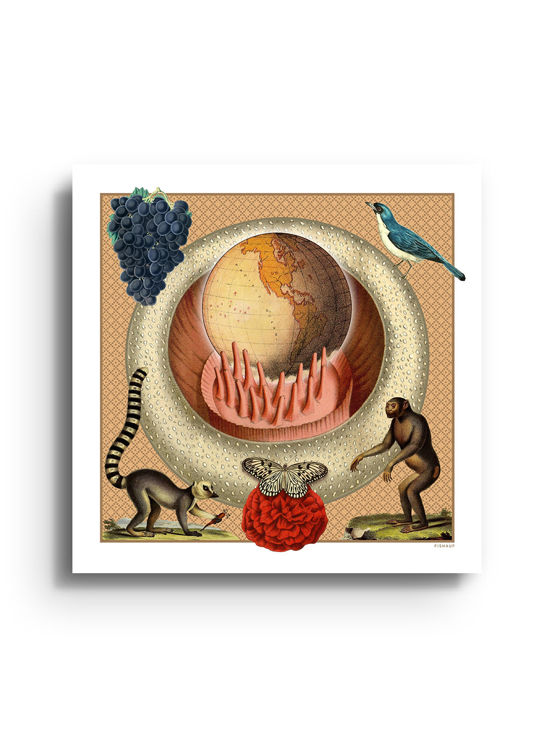 TERRA - Louis Fishauf