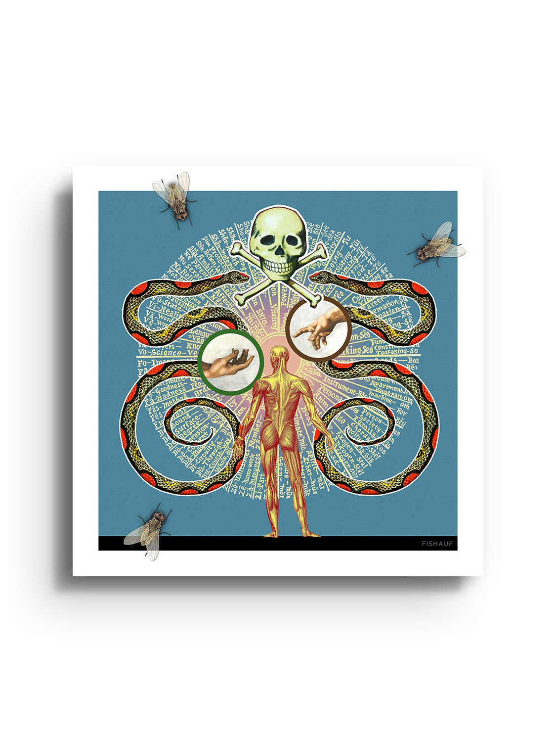 Book of Life - Louis Fishauf