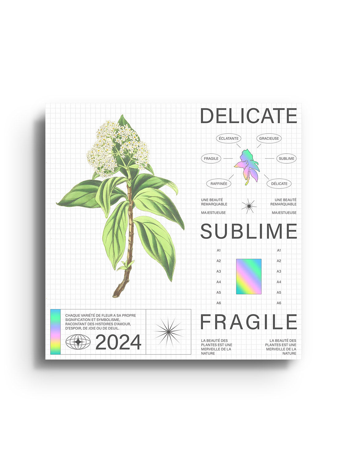 Delicate - Matéo Mace