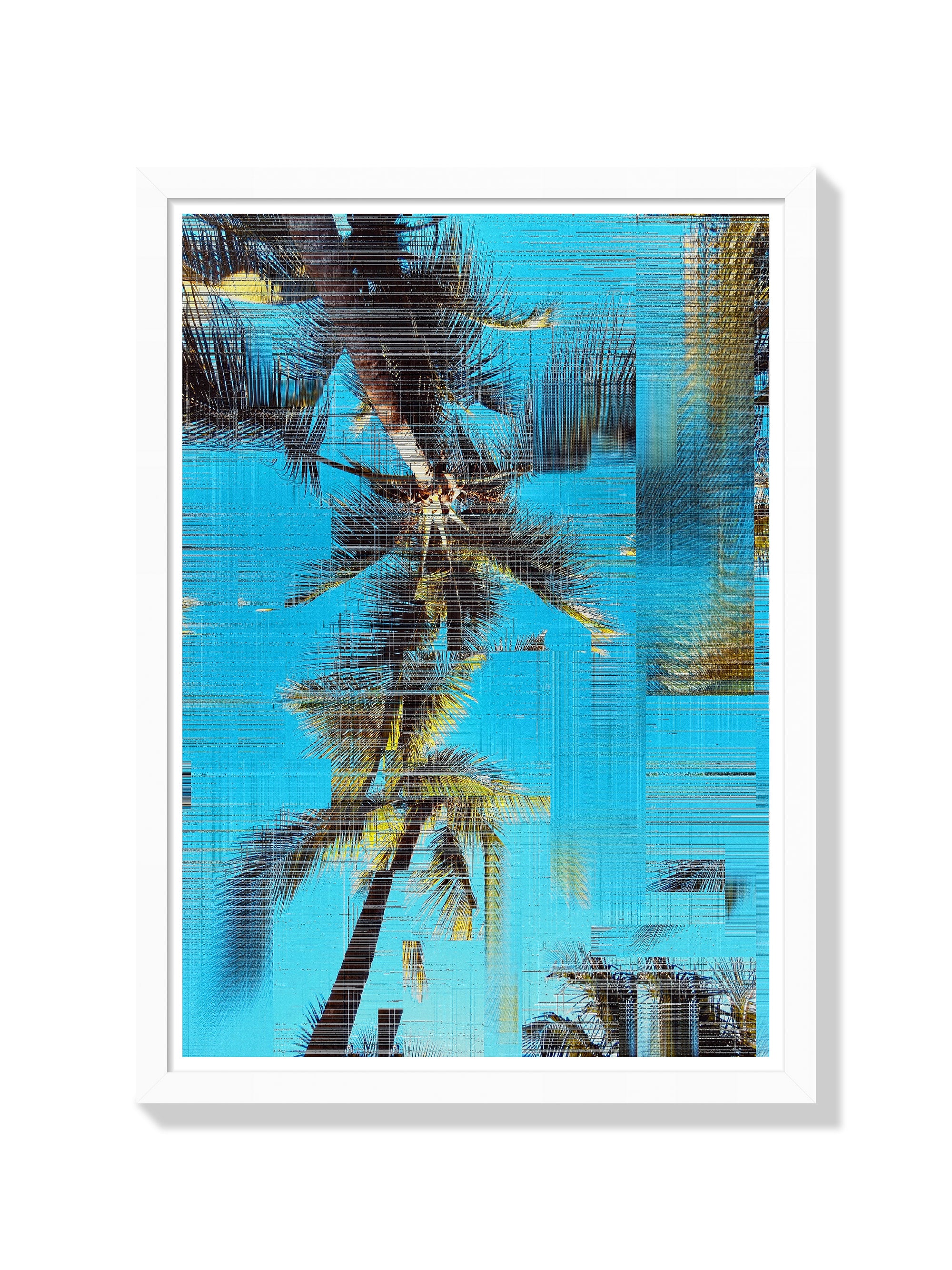 Arecaceae | Glitch 26.426 - Aaron Borchardt - White Frame |frame=White Frame|