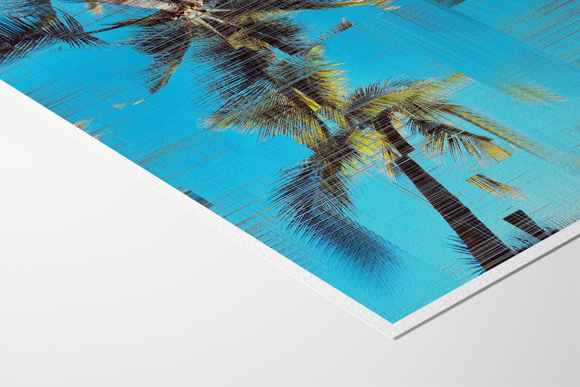 Arecaceae | Glitch 26.426 - Aaron Borchardt - Hahnemuhle German Etching 310gsm |type=lifestyle|