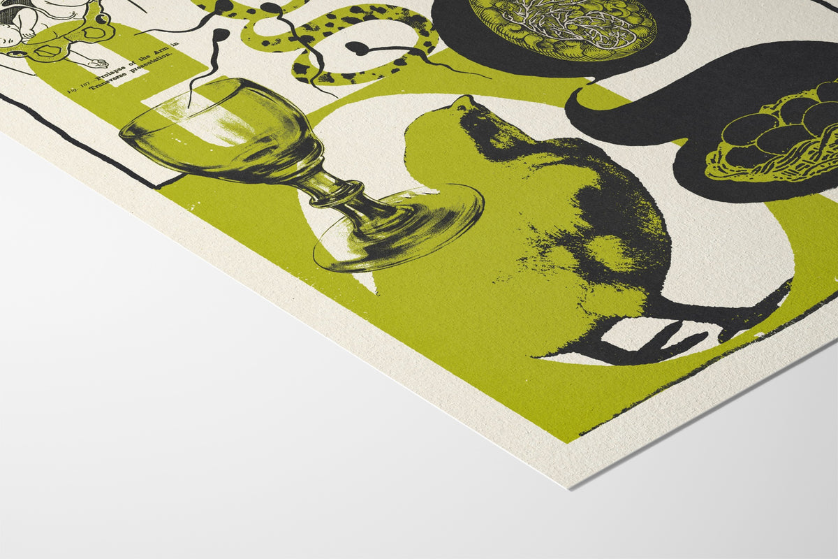Egg - Mateus Teixeira - Hahnemuhle German Etching 310gsm |type=paper|