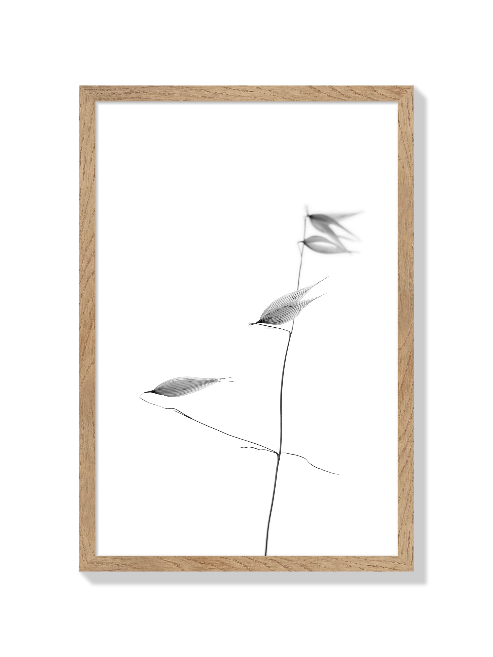 In light of current events IV - Tal Paz-Fridman - Natural Frame |frame=Natural Frame|