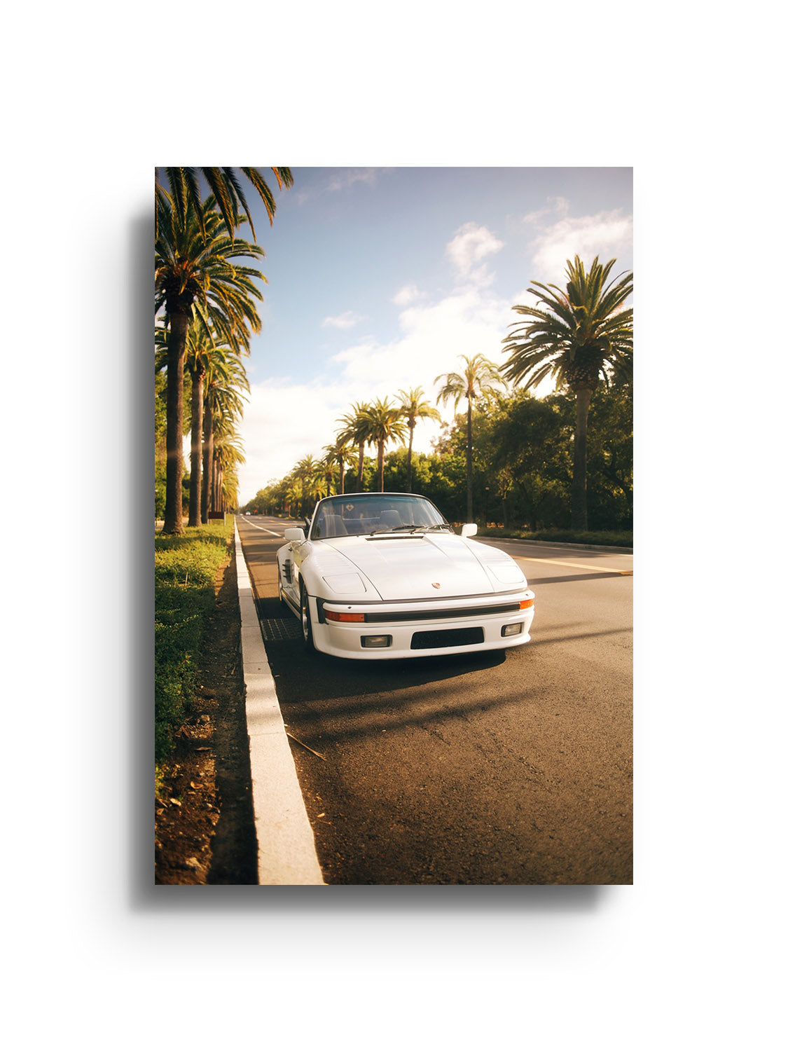 Palms & Porsche - Gelstang