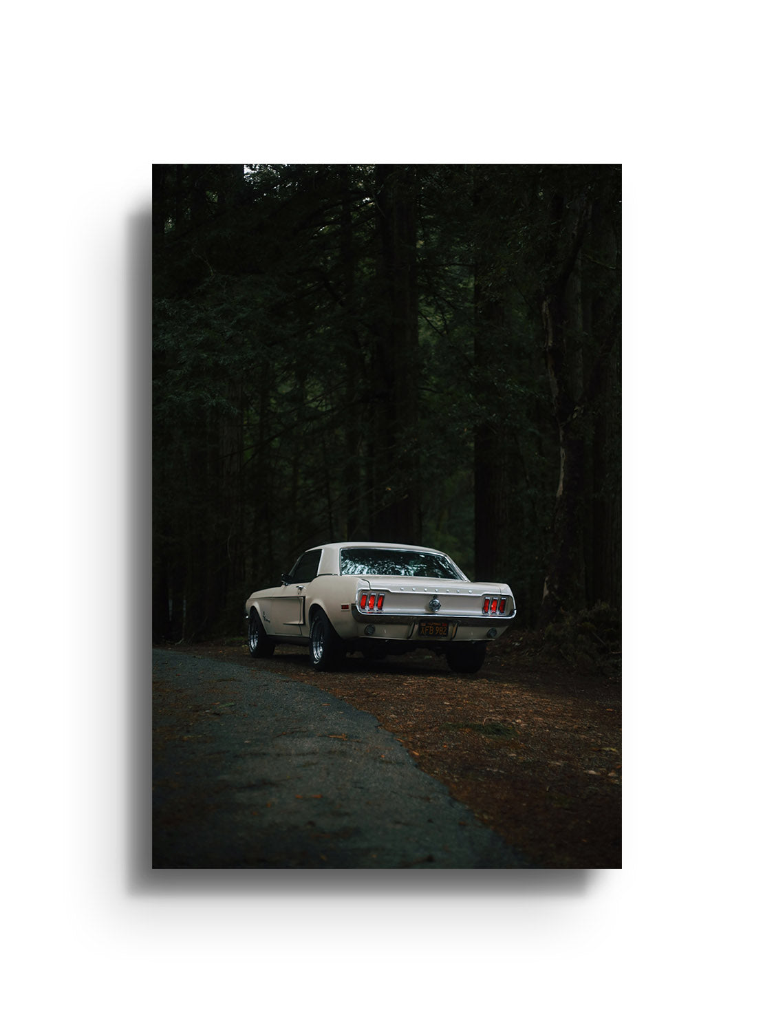 Woods - Gelica Peralta