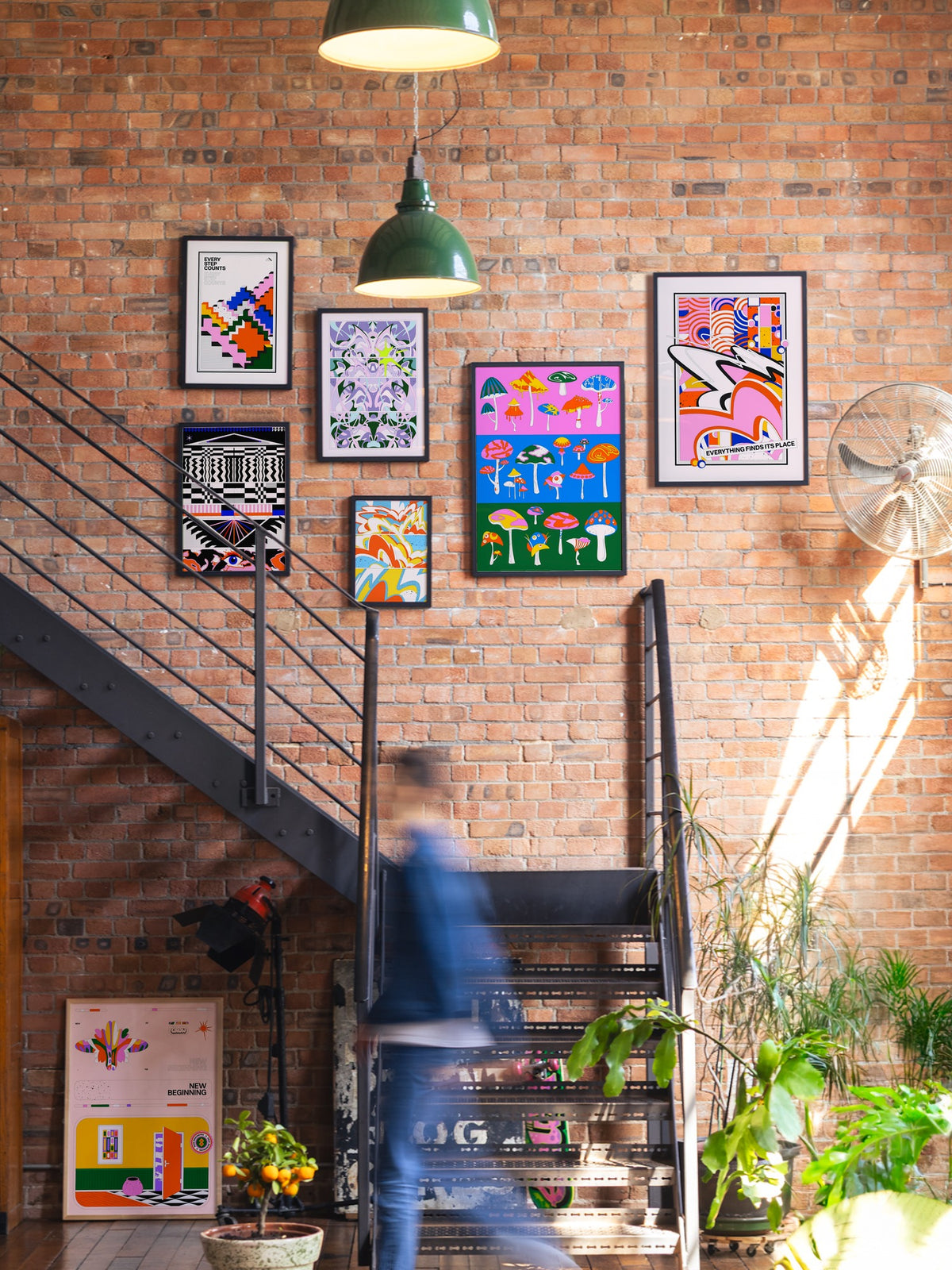 Shrooooooms! - Vladimir Hadžić - A_GWBlack_080726 |type=gallerywall|
