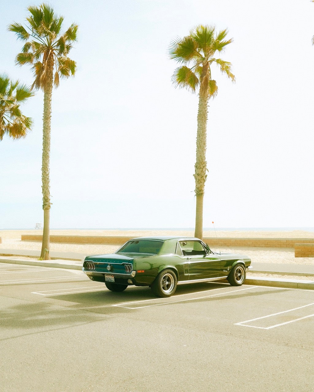 Beach Days - Gelstang