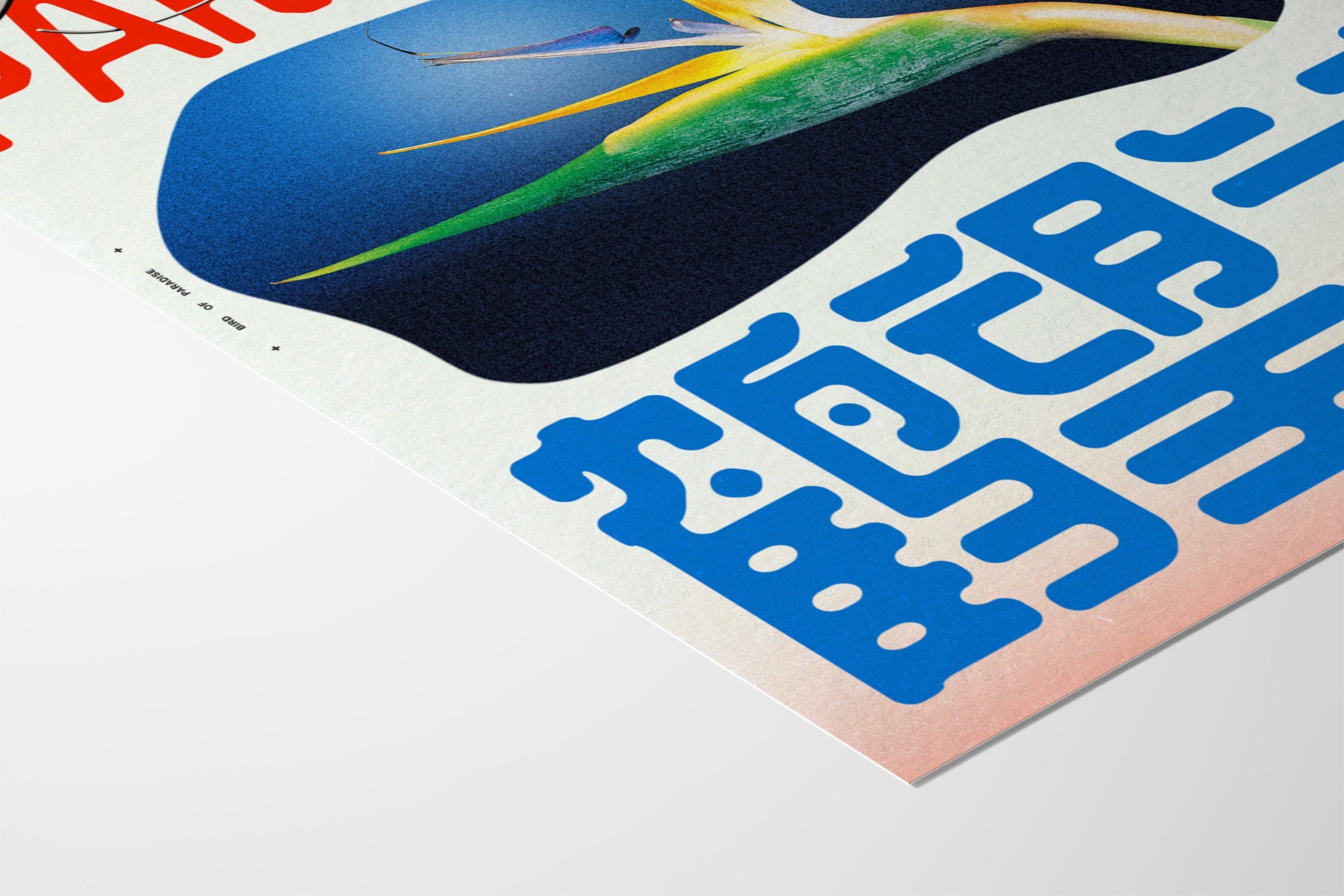 Bird of Paradise - Epi.to.me - Fine Art Paper 200gsm |frame=Fine Art Paper 200gsm|