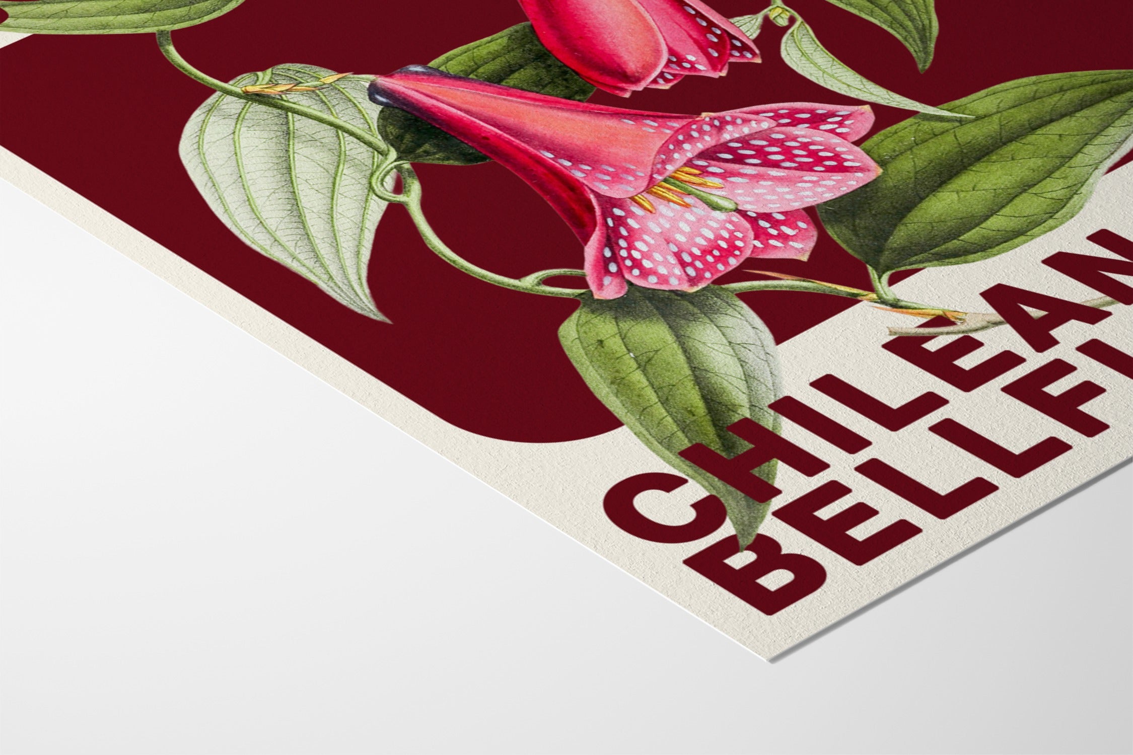 Crimson Bells - Fifth Layer - Hahnemuhle German Etching 310gsm |frame=Hahnemuhle German Etching 310gsm|