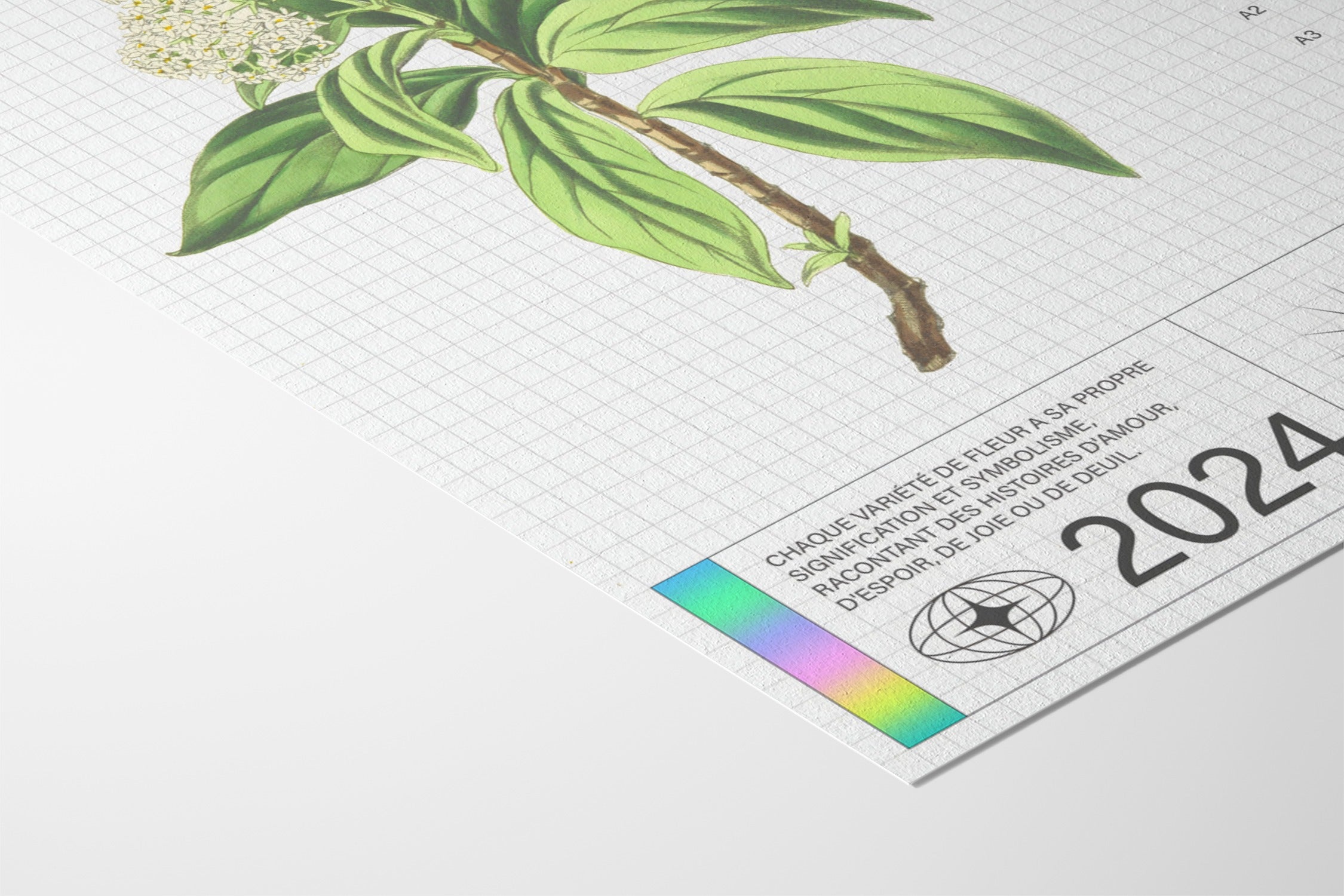 Delicate - Matéo Mace - Hahnemuhle German Etching 310gsm |frame=Hahnemuhle German Etching 310gsm|