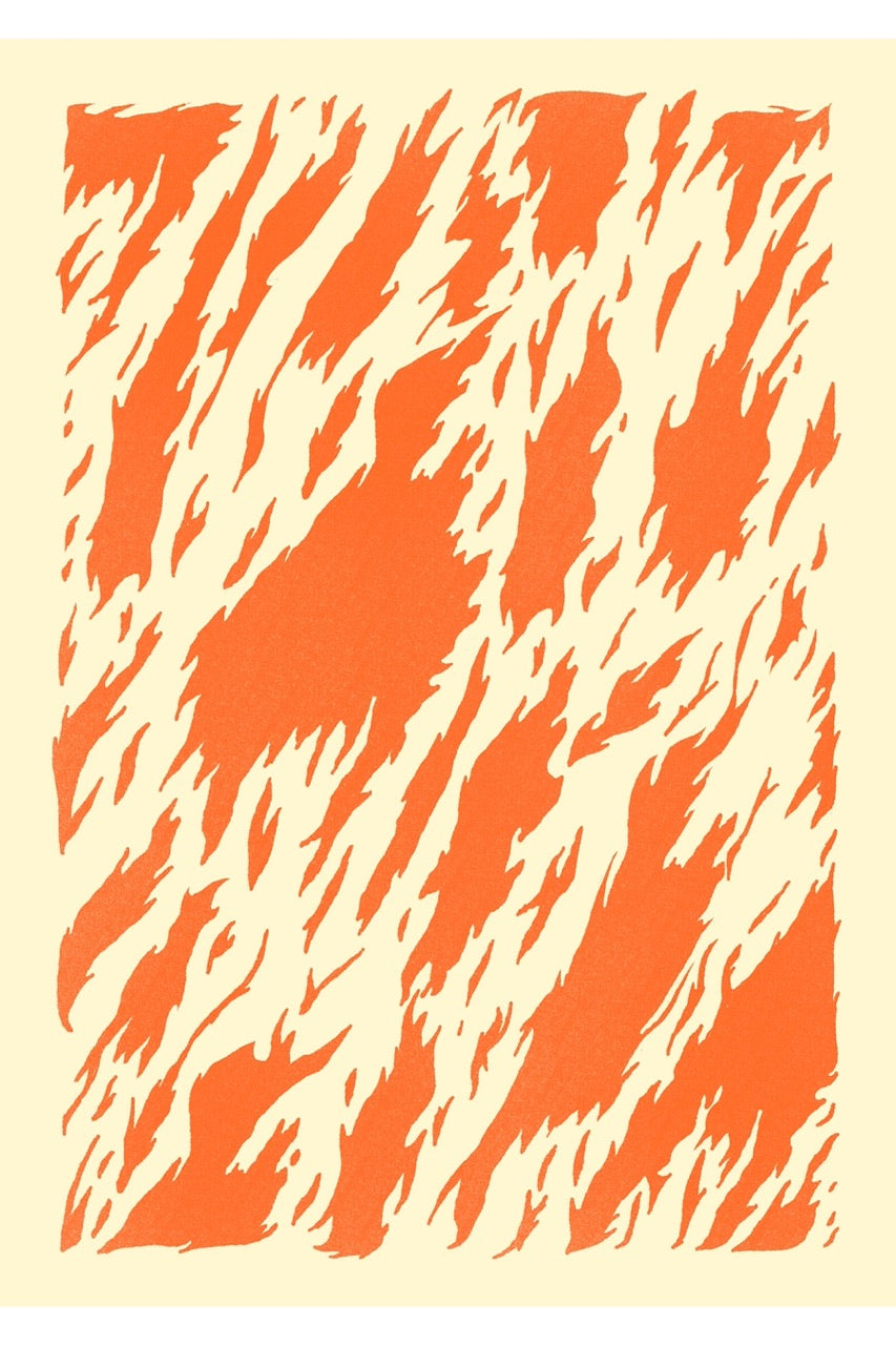 Flames - Fergus Hannant