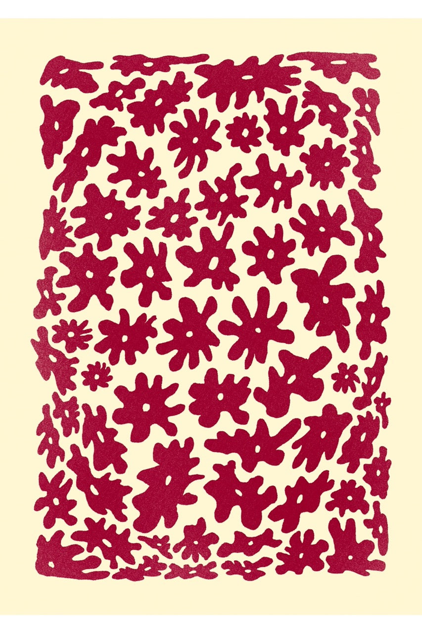 Flowers - Fergus Hannant