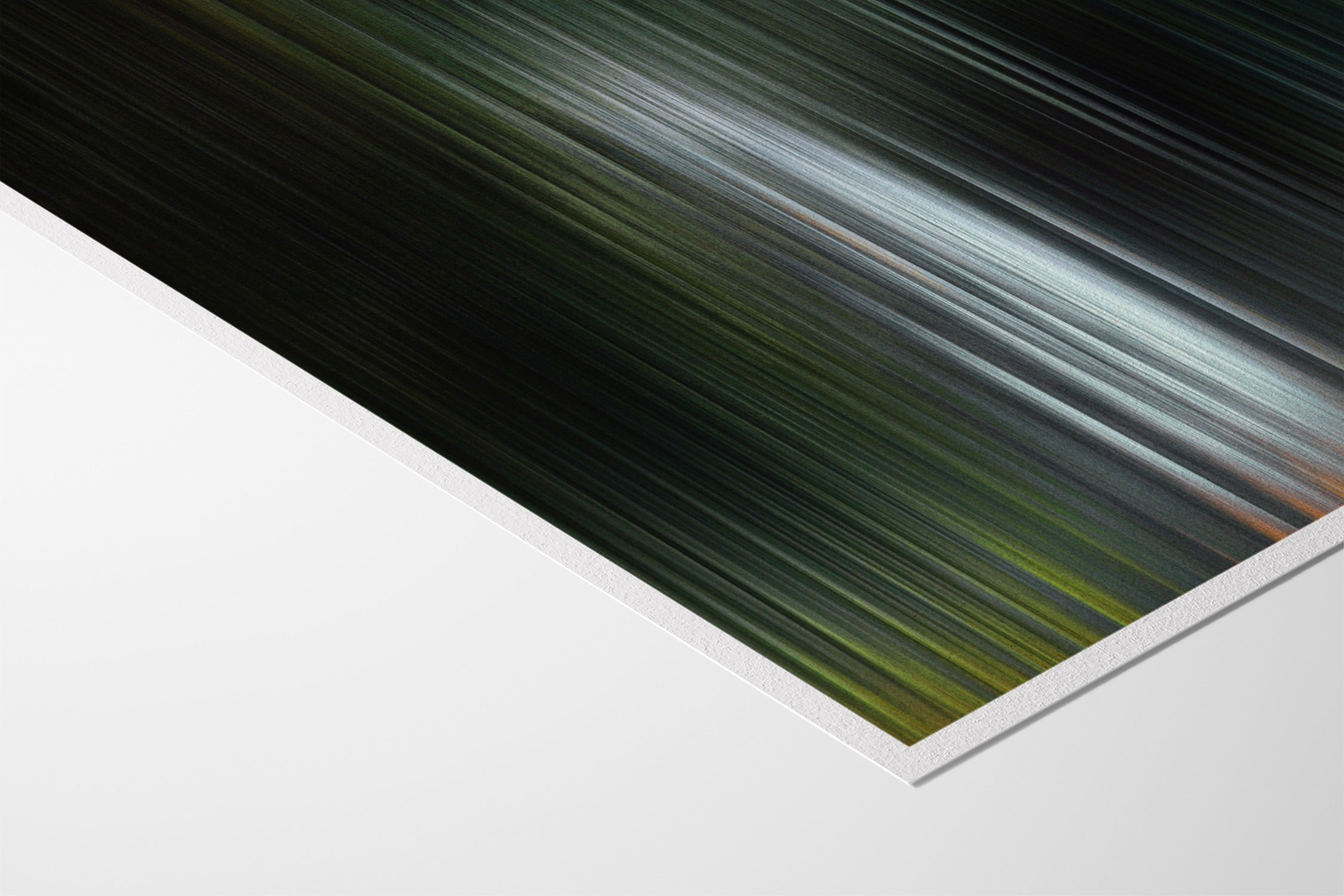 Glitch 25.804 - Botanical Refraction - Aaron Borchardt - Hahnemuhle German Etching 310gsm |frame=Hahnemuhle German Etching 310gsm|