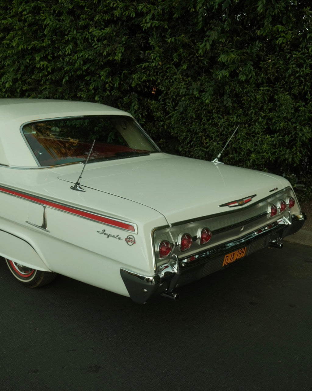 Impala Mama - Gelstang