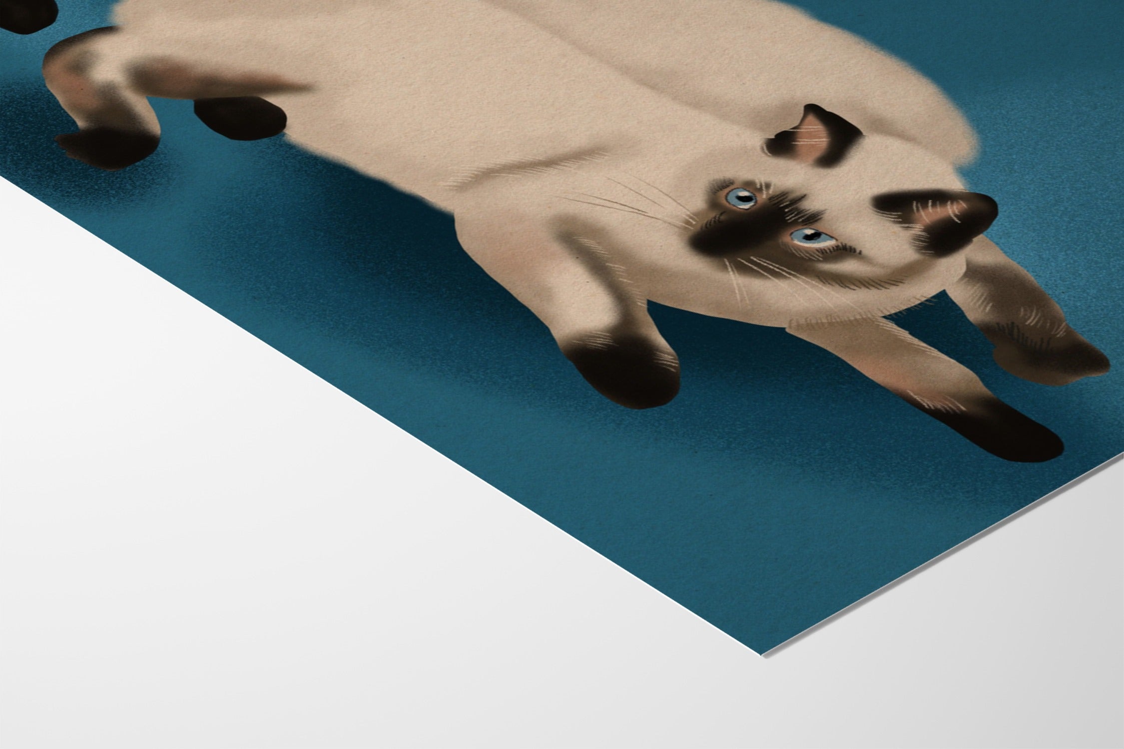 Kittens - Bel Mehta - Fine Art Paper 200gsm |frame=Fine Art Paper 200gsm|