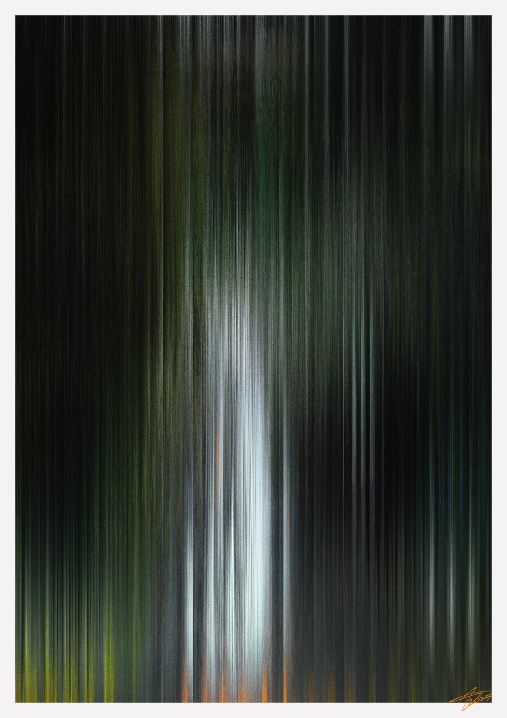 Glitch 25.804 - Botanical Refraction - Aaron Borchardt