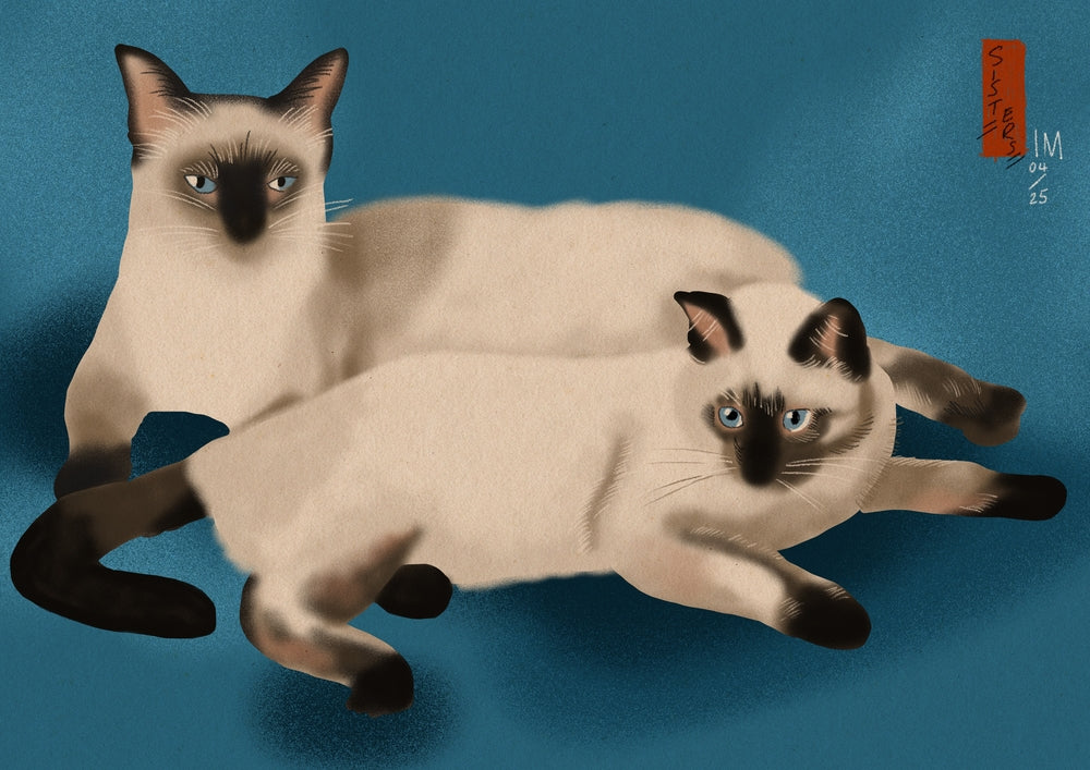 Kittens - Bel Mehta