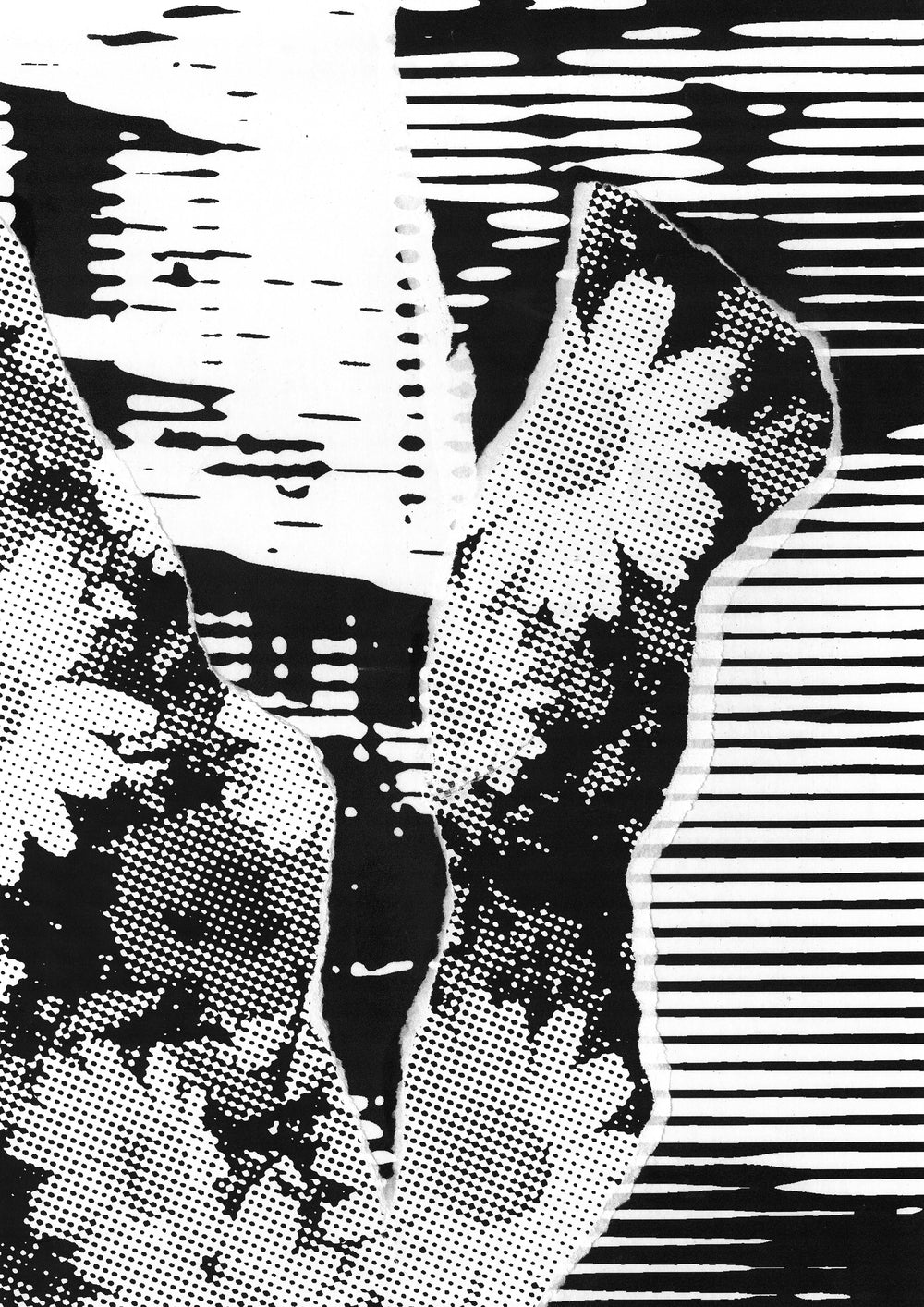 BLOSSOM - Chico Leong