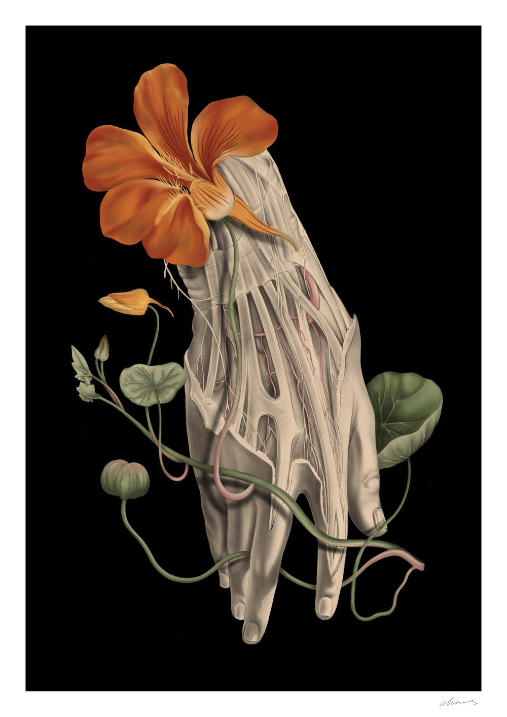 Living & The Dead - Chloe Shao