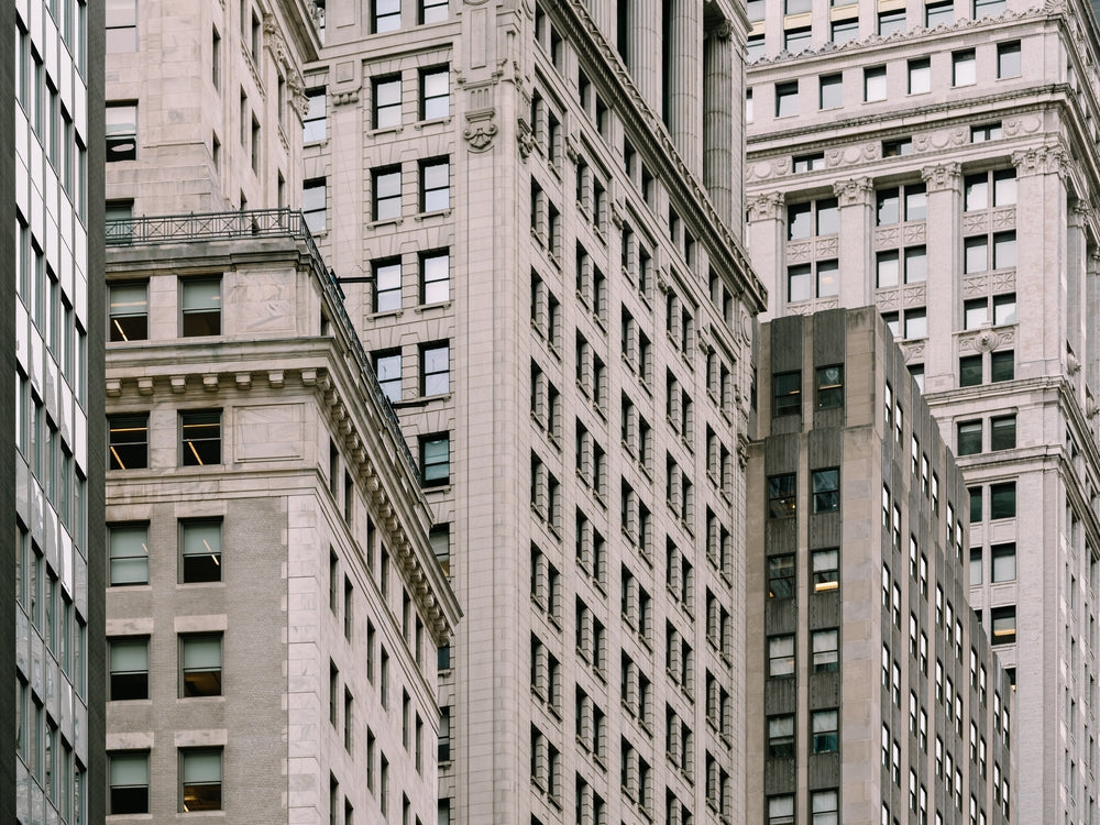 In Disguise - Cordula Schaefer