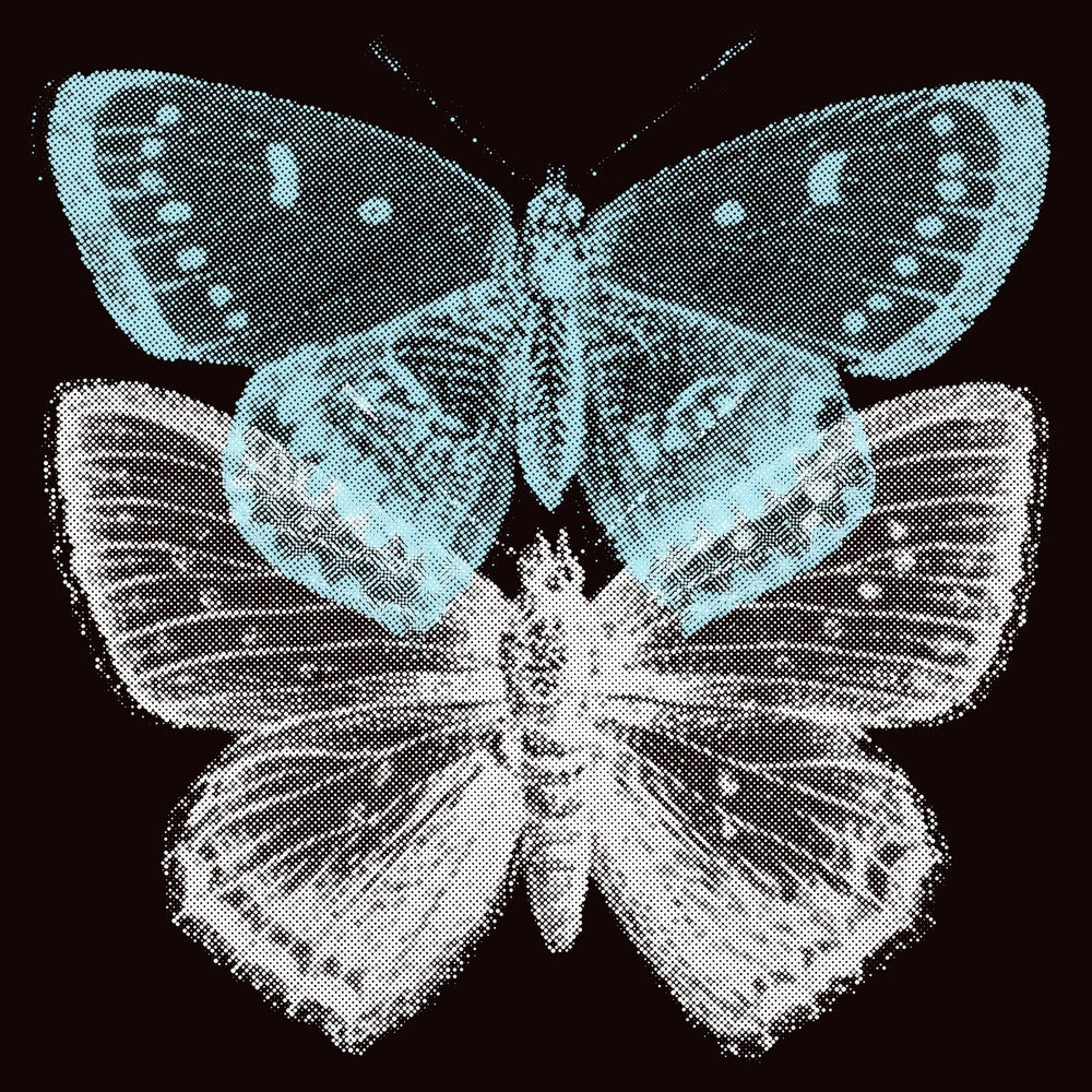 Set Free - Fifth Layer