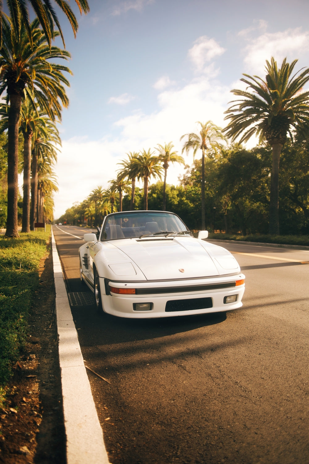 Palms & Porsche - Gelstang