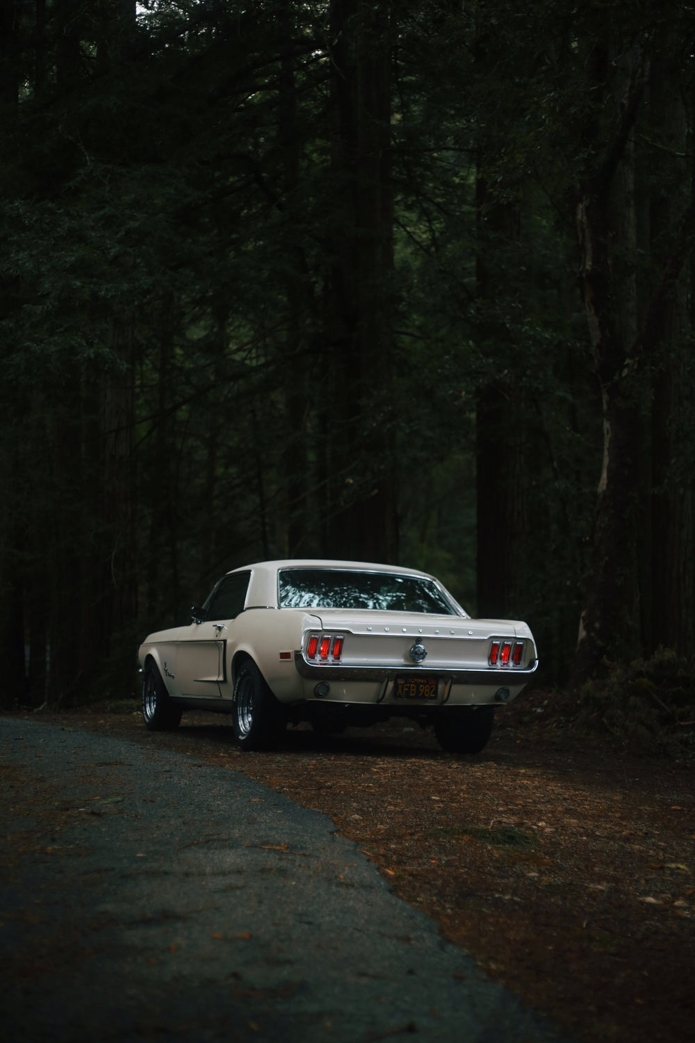 Woods - Gelstang