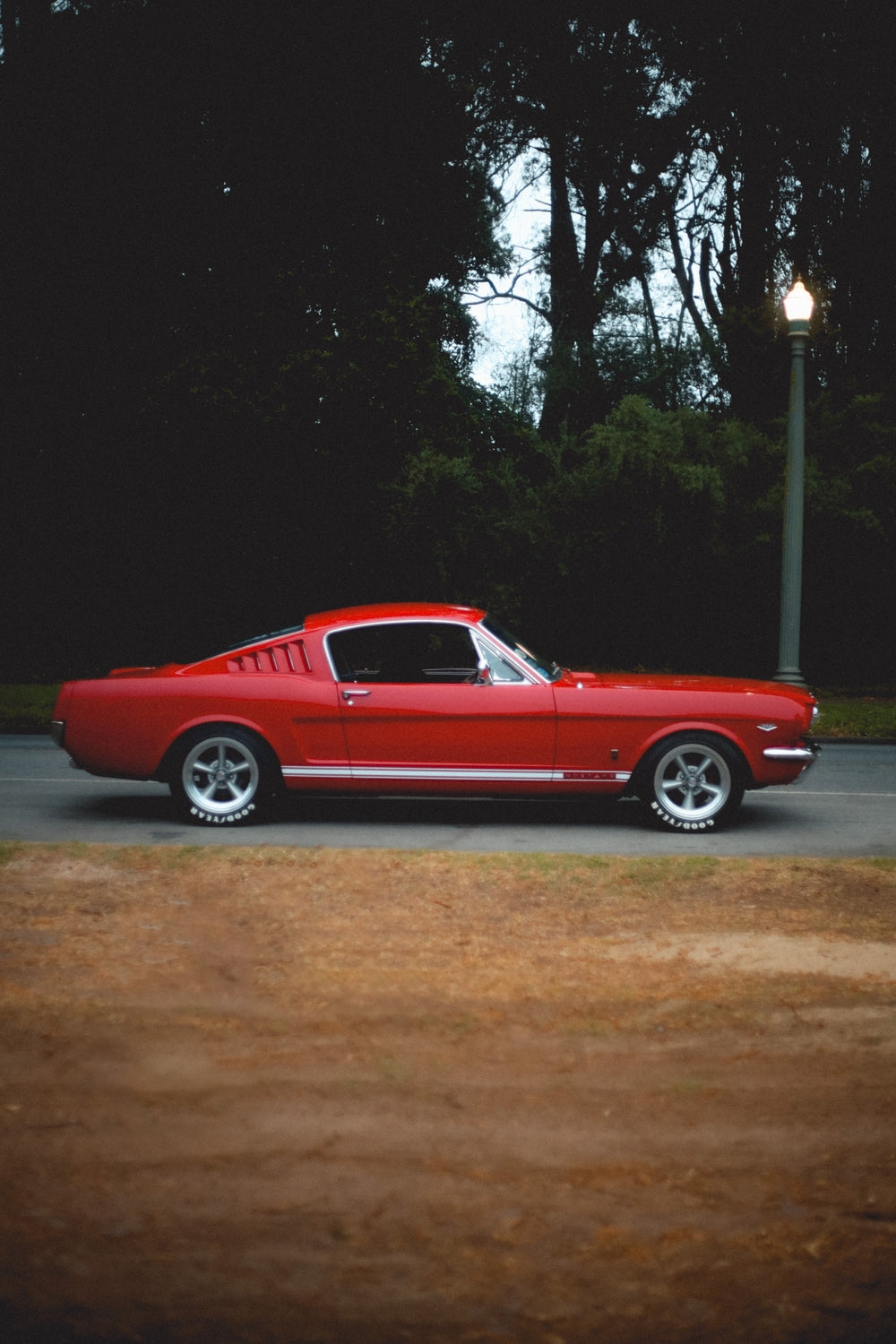 Fastback - Gelstang