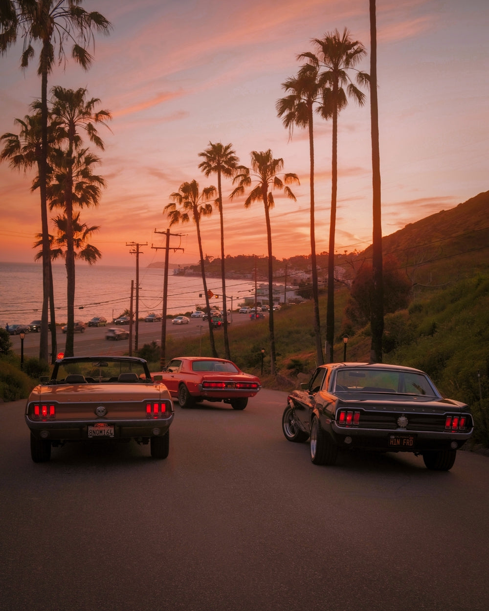 Malibu Daydream - Gelstang